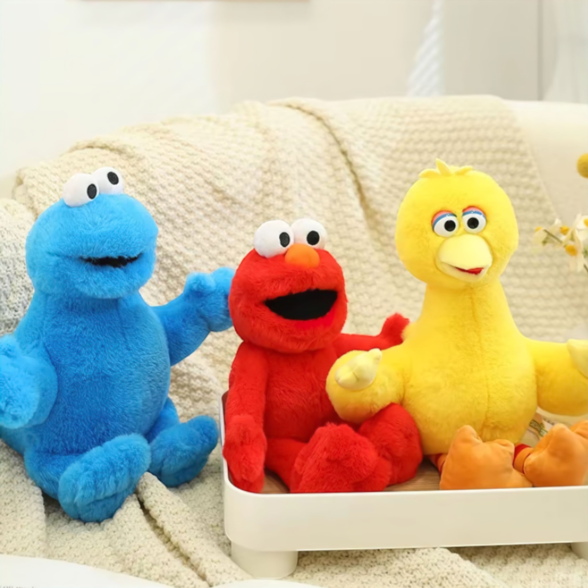 Sesame Street Buddies